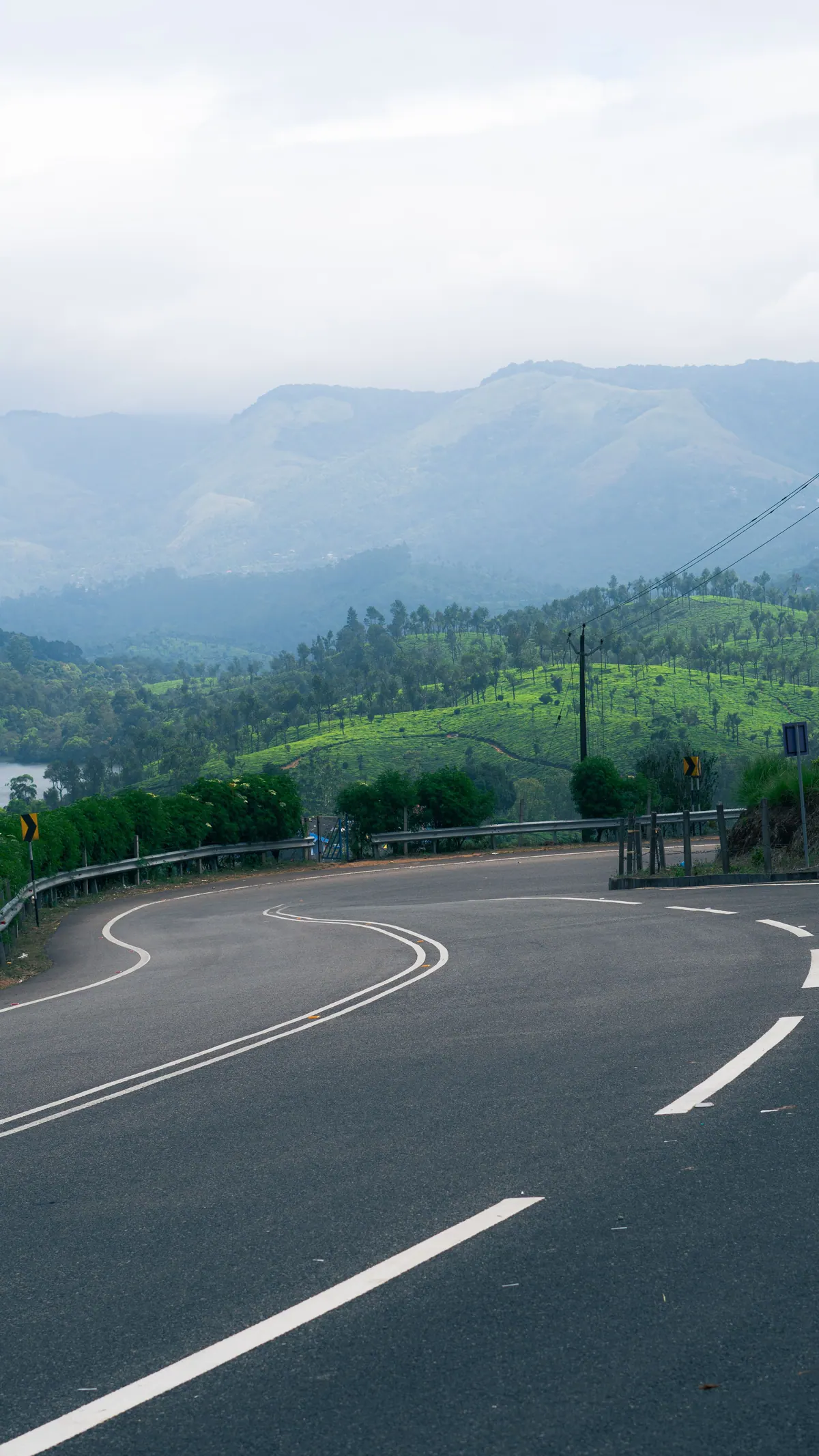 An empty hill road curving past tea gardens, with mountains under cloud behind