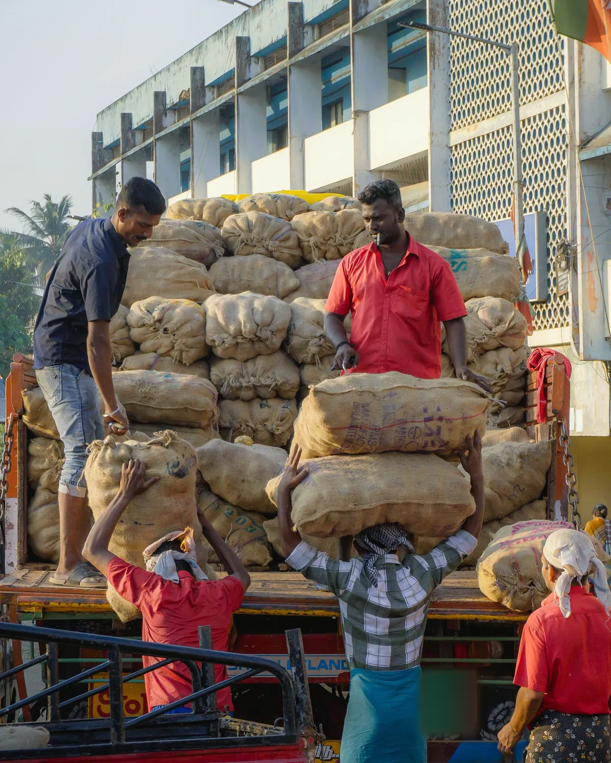 Two workers lifting sacks onto the bed of a truck